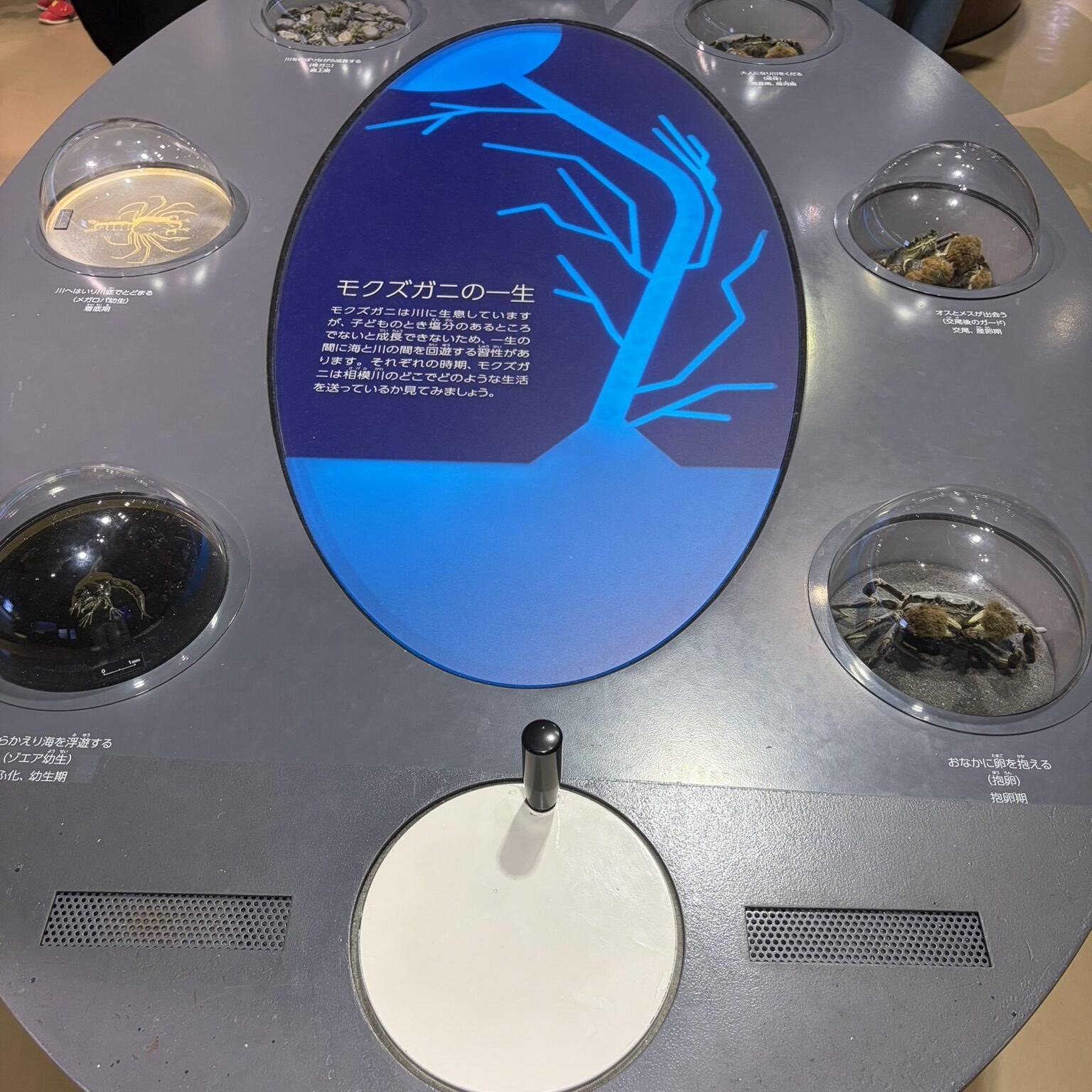 レバーを回すと電気が付く仕組みの科学装置の写真