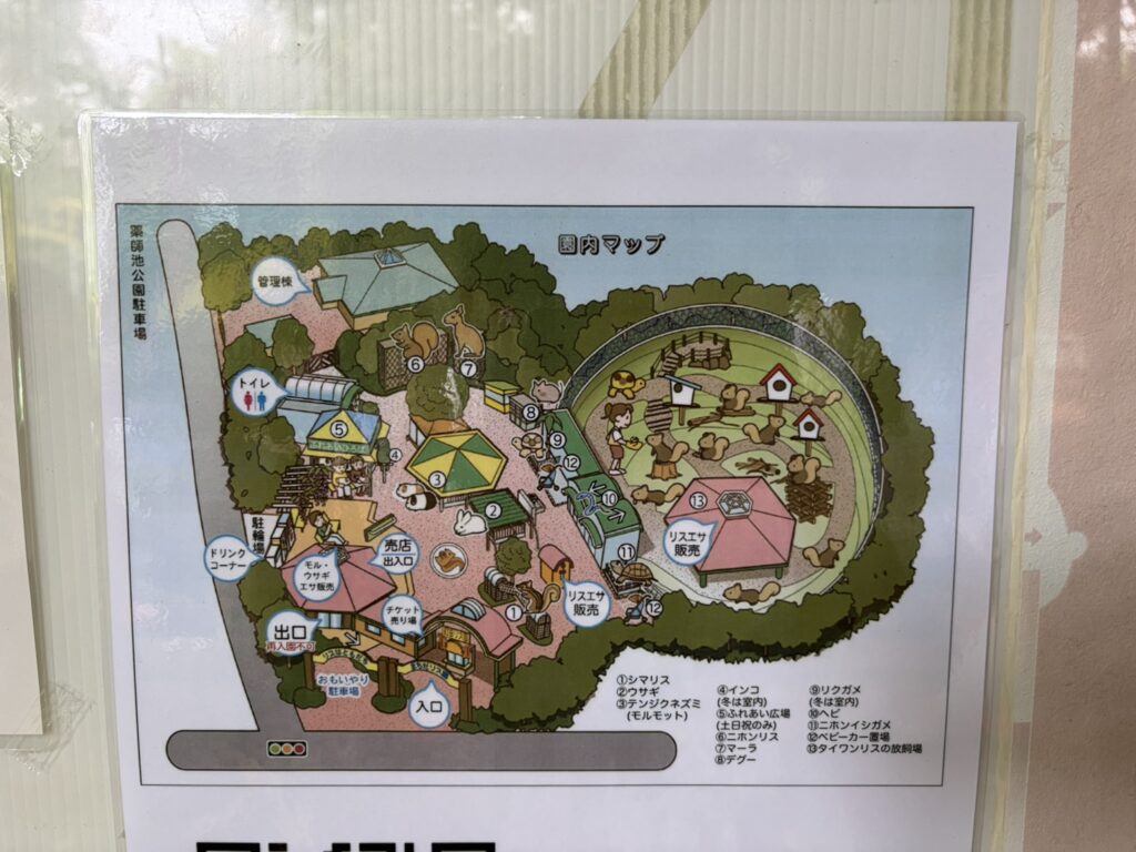 町田リス園の館内MAP