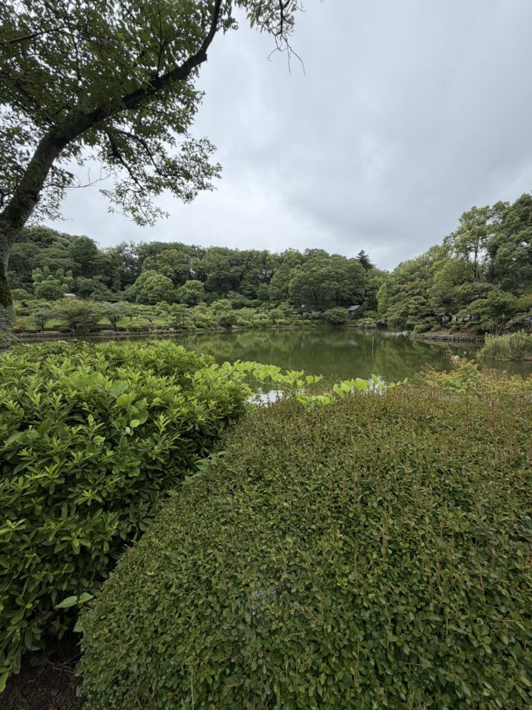 薬師池全体の写真