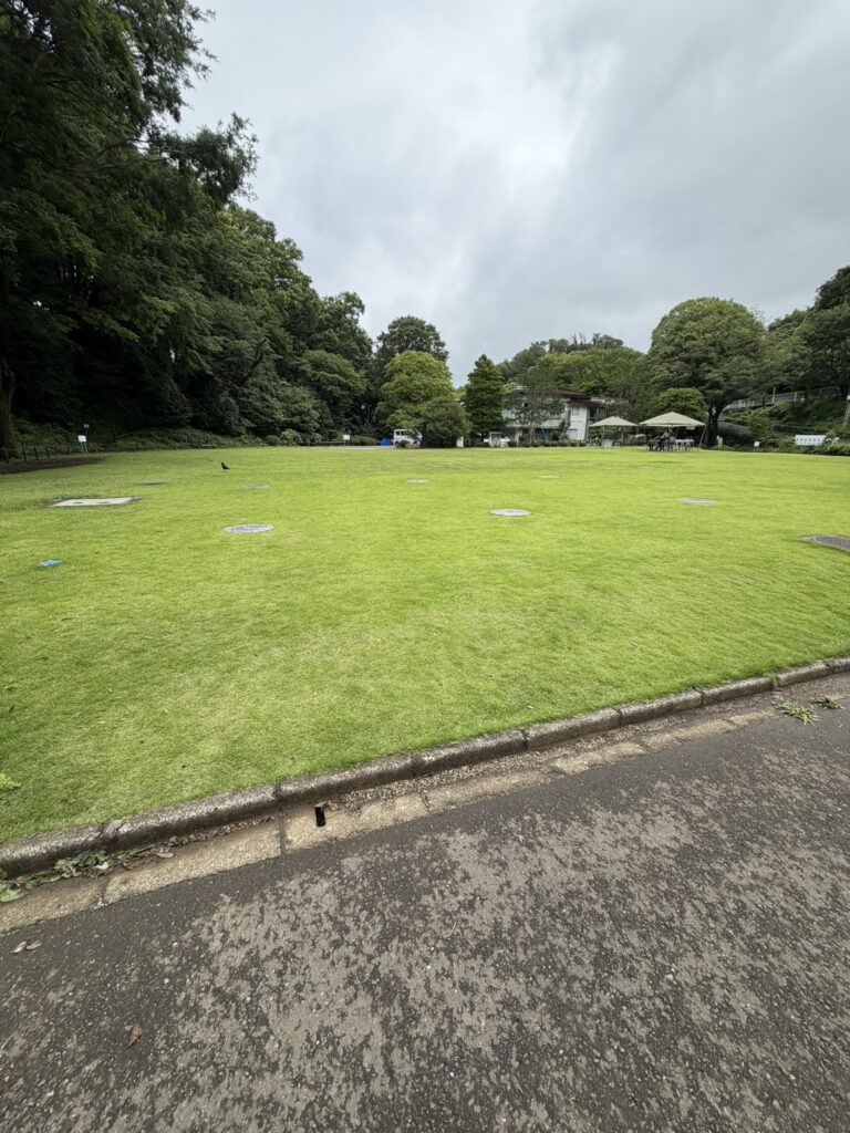 芝生エリアの写真
広大に広がっている
